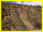 Etude de roches magmatiques recoupant la série sédimentaire carbonifère