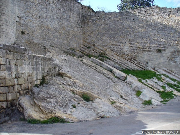 Calcaires de l'Hauterivien moyen à Arles