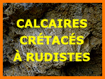 Calcaires  rudistes