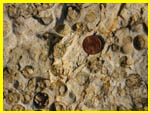 Plateau de Sze - Surface d'rosion ant-miocne