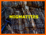 Migmatites du Cap Camarat