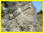 Informations sur les roches carbonates