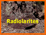 Radiolarites