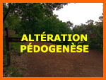 Altration - Pdogense
