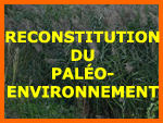 Reconstitution du palo-environnement