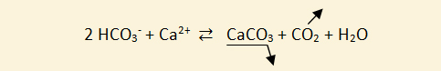 Equation de précipitation des carbonates