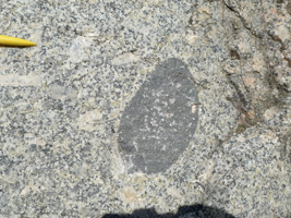 Enclave de roche basique dans les granitoïdes carbonifères - Reverdi