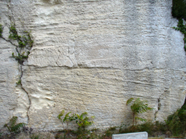 Litages obliques - Biocalcarénite miocène - Les Baux-de-Provence
