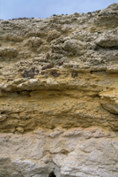 Séquence sédimentaire oligo-miocène 