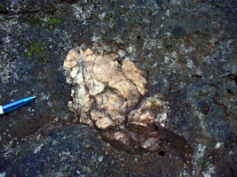 Xénolite de socle dans le basalte pliocène d'Évenos